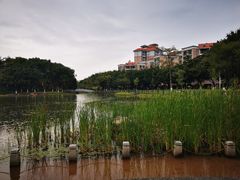 -映月湖公园