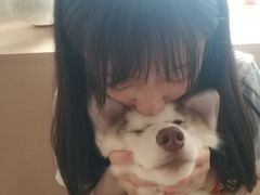 -Husky Go! 哈士奇体验馆·宠物咖啡厅狗咖