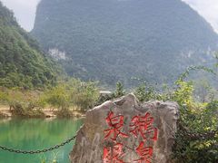 -靖西鹅泉风景区