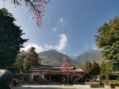 -蝴蝶泉公园