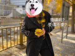 -北京网络广播电视台