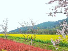 -径山花海