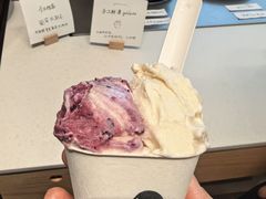 -喜茶(上海打浦桥日月光gelato lab+店)