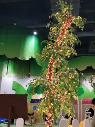 -幻贝家儿童乐园(苏州中心店)