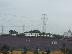 -紫颐香薰山谷景区