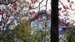 -苏州太湖国际会议中心·香山酒店·宴会厅