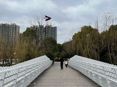 -南翔镇银翔湖公园