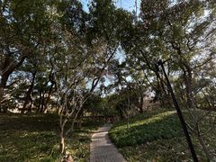 -徐家汇源景区-衡山公园