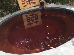 -仁爱团泊湖温泉中心
