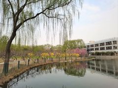 -古塔公园