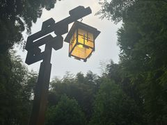 -杭州黄龙洞