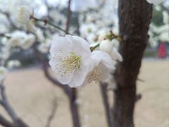 -北京明城墙遗址公园