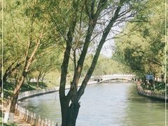 -南长河公园