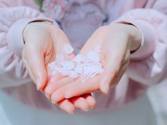 -高东镇樱花园