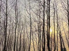 -同济大学(嘉定校区)