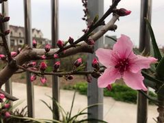 -大地影院(上海南汇店)