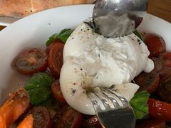 -BAIA 巴亚