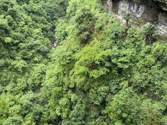 -鹿院坪生态旅游景区