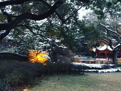 -申粤轩酒楼·三十年粤菜经典(丁香花园店)