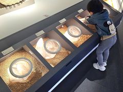 -四川大学博物馆