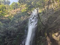 -莫里热带雨林景区