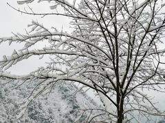-九峰山
