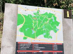 -火炉山森林公园