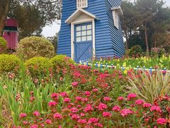 -铁山坪森林公园