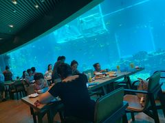 -海棠湾洲际-涛·海底餐厅·美人鱼·自助餐·海底隧道