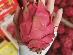 -三亚新鸿港水果一级批发市场