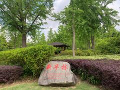 -黄兴公园