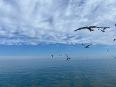 -海驴岛(荣成市)