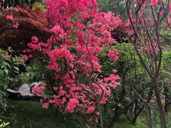 -南汇桃花村
