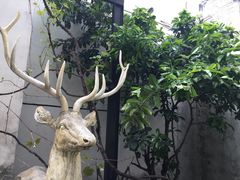 -边渡咖啡烘焙店(昙华林店)