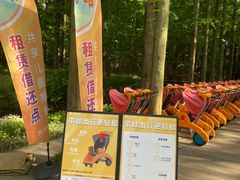 -东平国家森林公园