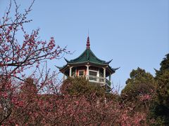 -无锡梅园公园