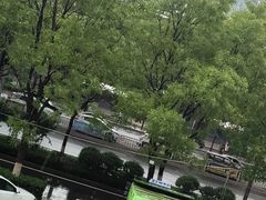 -竹犇番茄火锅(长风街店)