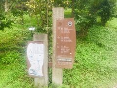 -都江堰中华大熊猫苑