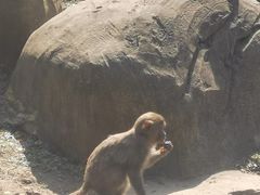-杭州野生动物世界