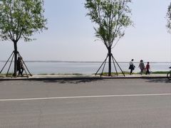 -白洋淀景区