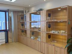 -猫十亿·布偶金渐层·曼基康矮脚猫舍(青年路店)