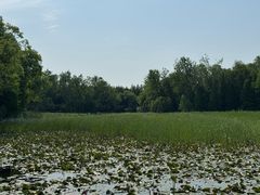 -溱湖国家湿地公园