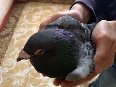 -昆明冠生园·蛋糕·面包(南强街店)