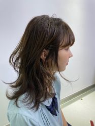 -IDOL-PLUS