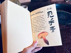 -滇野云南野生菌餐厅(陕西南路店)