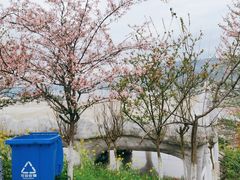 -美心红酒小镇游乐园