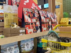 -帕帕拉兹宠物(亚洲旗舰店)