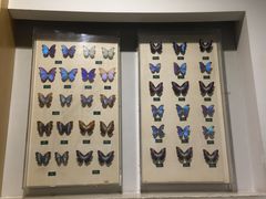 -陕西自然博物馆