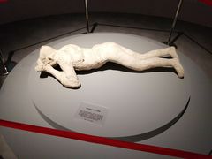 -盘龙城国家考古遗址公园