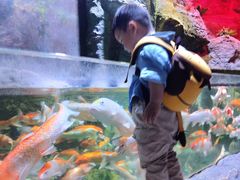 -多彩贵州城极地海洋世界